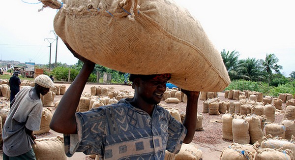 Kakaó-export tilalom Elefántcsontparton