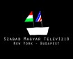 A Szabad Magyar Televízió felvételei a médiatüntetésekről