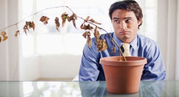 Egyre több a lelkibeteg férfi