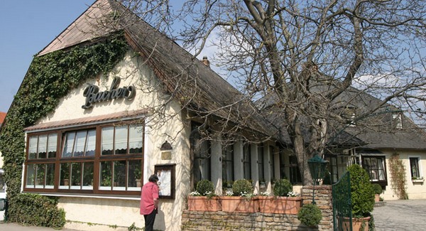 Salzburgi és bécsi étterem a legjobb Ausztriában