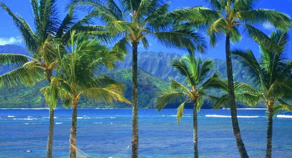 A japán rengéssel odalett a hawaii turizmus is