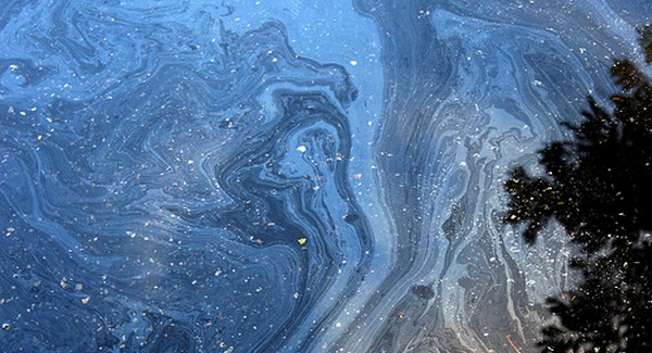 Ragyogás Louisiana partjainál