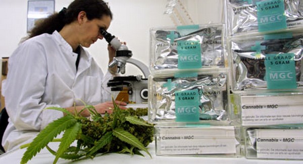 Marijuana orvosi receptre