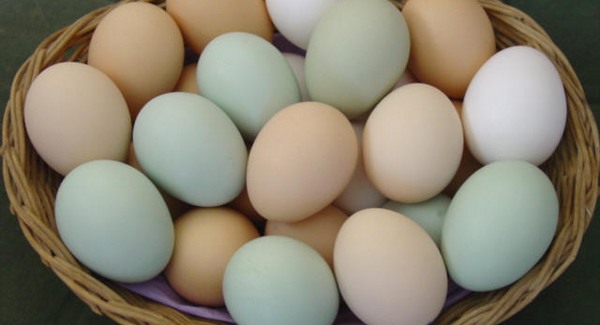 Alacsonyabb tojásárak húsvétra