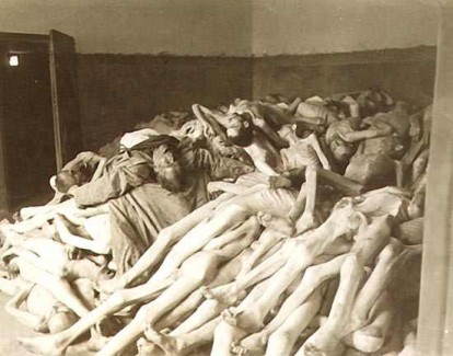 holocaust-bodies