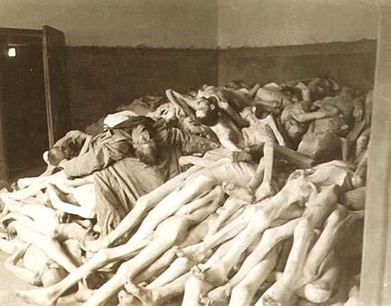 holocaust-bodies