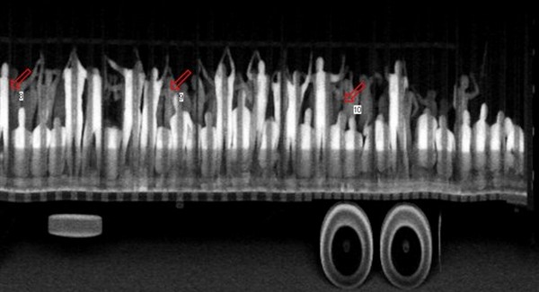 Arizona saját műszaki zárat épít