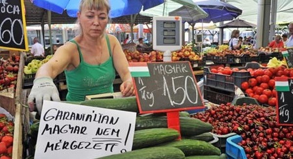 Ezúttal nem fosztogattak, hanem osztogattak