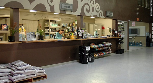 Marihuána szupermarket nyílt Arizonában