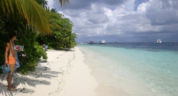 A szabadság egészségessé tesz