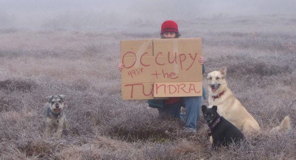 Foglaljuk el a tundrát is